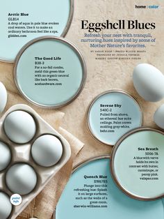 eggshell blues are the most popular paint colors