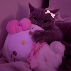 a cat is sitting next to a hello kitty stuffed animal