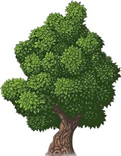 an image of a tree with green leaves