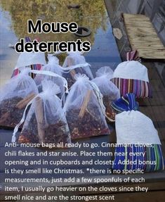 Anti Mouse Bags, Mouse Bags, David Wolfe, Mice Repellent, Casa Clean, Cleaning Recipes, Cleaners Homemade