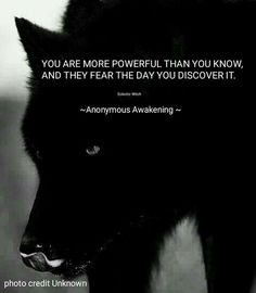 a black wolf with a quote on it's face that says, you are more powerful than you know and they fear the day you discovery