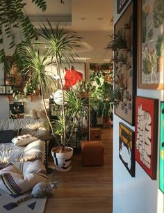 a living room filled with lots of plants next to a wall mounted on it's side