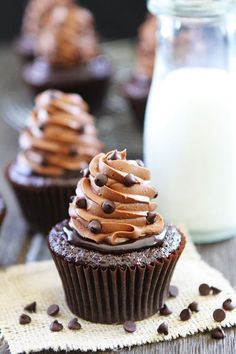 chocolate cupcakes with frosting and chocolate chips