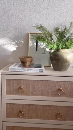 a white dresser with two drawers and a potted plant on top