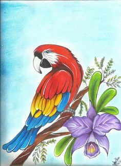 a colorful bird sitting on top of a tree branch next to purple flowers and green leaves