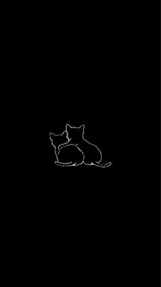 a black and white photo of two cats sitting on the ground in the dark,