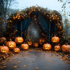 a bunch of pumpkins that are sitting on the ground in front of a curtain