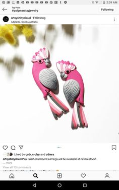 two pink birds are sitting on top of each other