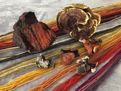 several different colored yarns and shells on a white surface with one large piece of wood in the middle