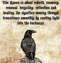 a black bird sitting on top of a rock next to a quote from the raven