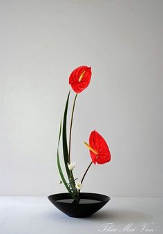 two red flowers in a black bowl on a white surface with green stems and leaves