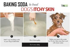 three pictures showing how to use baking soda for dog's tastyy skin