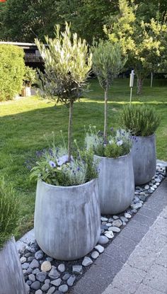 three cement planters with plants in them