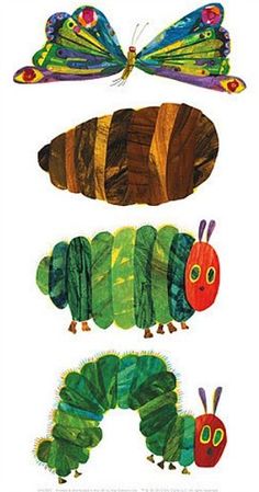 the very hungry caterpillars by eric schleiger, illustrated by person