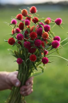 a person holding a bunch of flowers in their hands on the grass field behind them