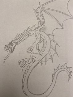 a pencil drawing of a dragon