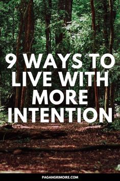 a forest with trees and the words 9 ways to live with more intention on it