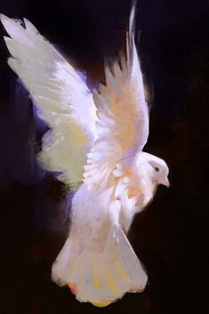 a white bird flying through the air with its wings spread