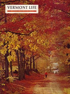 a person walking down a leaf covered road in the fall with trees lining both sides