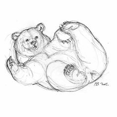 a black and white drawing of a bear laying on its back with it's head turned to the side