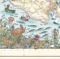 an illustrated map of australia with sea animals and other marine creatures on the ocean floor