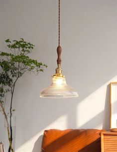 a lamp hanging over a bed next to a potted plant in a living room