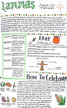 a poster with words and pictures on it that says, how to celebrate in spanish