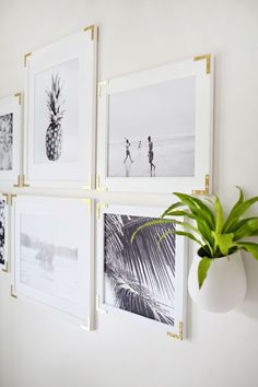 a white vase with a green plant in it next to pictures on the wall behind it