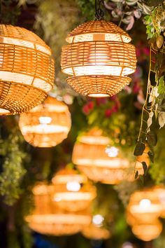 some lights hanging from the ceiling in a room with plants and flowers on either side