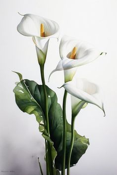 three white flowers with green leaves in a vase