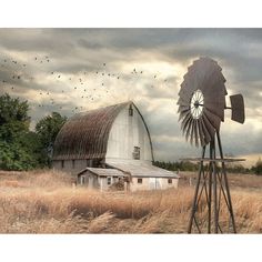 Henderson Bay Farm Poster Print by Lori Deiter LD1537 Image 1 Farm Wall Art, Modern Canvas Painting, Landscape Wall Decor, Wall Canvas Painting, Old Barn, Office Wall Decor, Big Canvas Art, Picture Wall, Canvas Print Wall