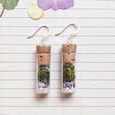 two small glass bottles filled with rocks and plants