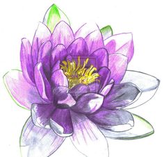 a drawing of a purple flower with green leaves