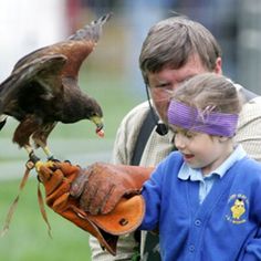 a young boy holding an eagle on his arm while another man holds it up to him