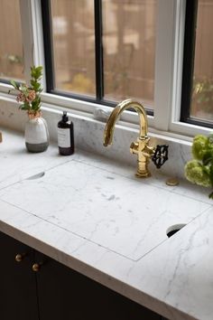 a kitchen sink with two faucets and some flowers in the window sill