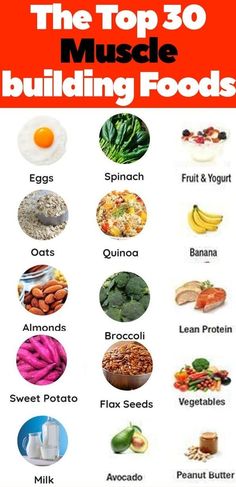 Muscle Building Foods, Healthy High Protein Meals