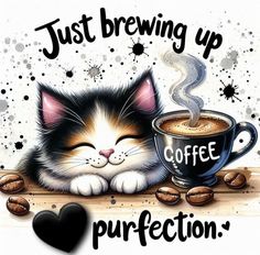 a black and white cat laying next to a cup of coffee with the words just brewing up