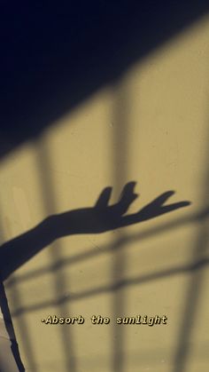 the shadow of a person's hand is cast on a wall with words above it