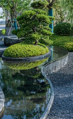 水景设计 植物设计 景观 绿化砾石 Modern Water Feature, Landscape Architecture Drawing, Modern Landscape Design, Lake Park, Roof Garden, Modern Landscaping, Water Fountain, Backyard Landscaping Designs, Water Garden