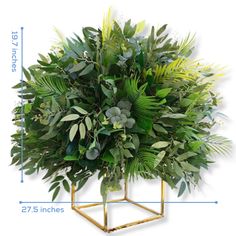 an arrangement of greenery in a gold planter on a white background with measurements