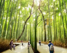 many people are walking around in the bamboo forest with tall trees and green foliage on either side