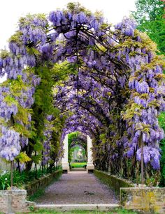 an archway covered in purple flowers next to trees