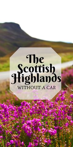 the scottish highlands with purple flowers and mountains in the background text reads, the scottish highlands without a car