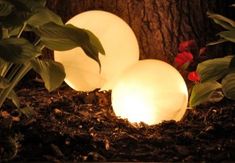 three white lights sitting on top of a pile of dirt next to a tree