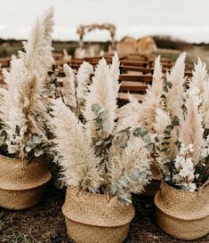 three baskets filled with plants sitting on top of a field