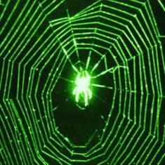 the inside of a spider web with green lights