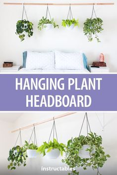 hanging plant headboard is an easy way to hang plants in the bedroom