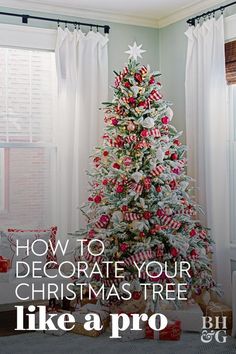 a decorated christmas tree with the words how to decorate your christmas tree like a pro