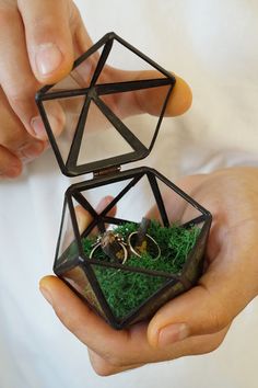 two hands holding an open ring box with rings inside it and moss in the middle