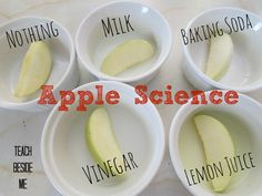 four white bowls with apples in them and labeled apple science written on the top one